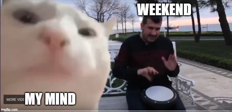 vibing cat | WEEKEND; MY MIND | image tagged in vibing cat | made w/ Imgflip meme maker