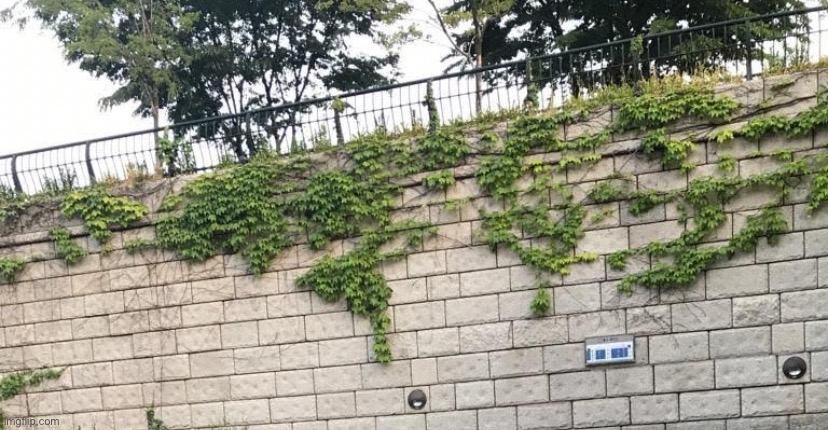 Walls because yes | made w/ Imgflip meme maker