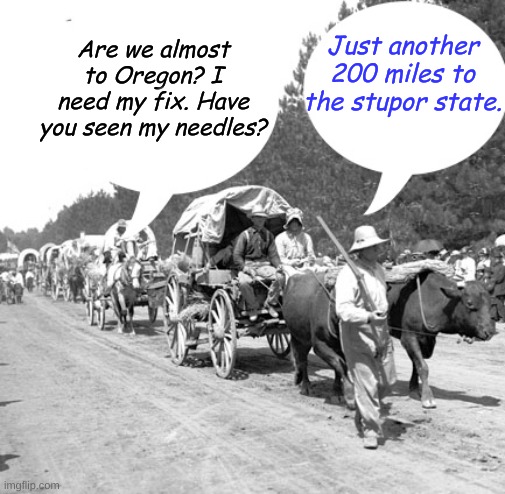 As recounts and lawsuits continue in the Presidential election, we join the Snowflake Wagon Train on the Oregon Trail. | Are we almost to Oregon? I need my fix. Have you seen my needles? Just another 200 miles to the stupor state. | image tagged in snowflake wagon train | made w/ Imgflip meme maker