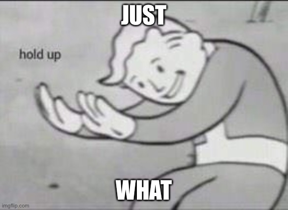 Fallout Hold Up | JUST WHAT | image tagged in fallout hold up | made w/ Imgflip meme maker
