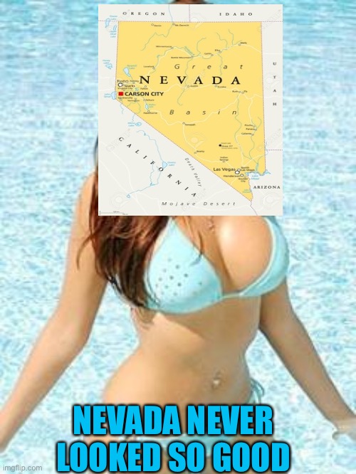 Bikini girl | NEVADA NEVER LOOKED SO GOOD | image tagged in bikini girl | made w/ Imgflip meme maker