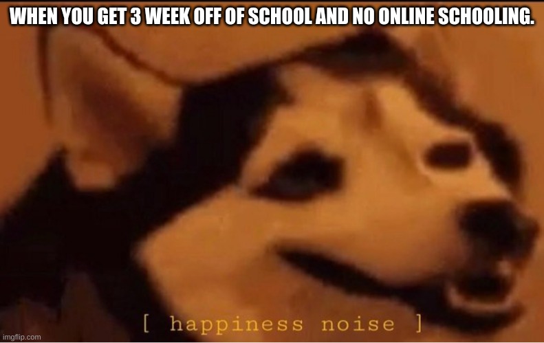 happines noise | WHEN YOU GET 3 WEEK OFF OF SCHOOL AND NO ONLINE SCHOOLING. | image tagged in happines noise,dogs | made w/ Imgflip meme maker