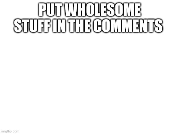 Blank White Template | PUT WHOLESOME STUFF IN THE COMMENTS | image tagged in blank white template | made w/ Imgflip meme maker