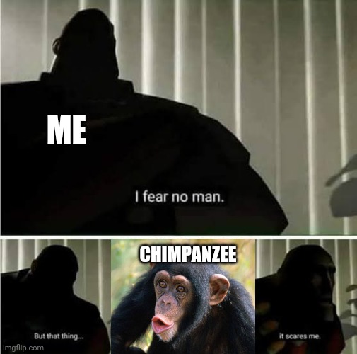 This is a 100% true fact about me | ME; CHIMPANZEE | image tagged in i fear no man,chimpanzee | made w/ Imgflip meme maker