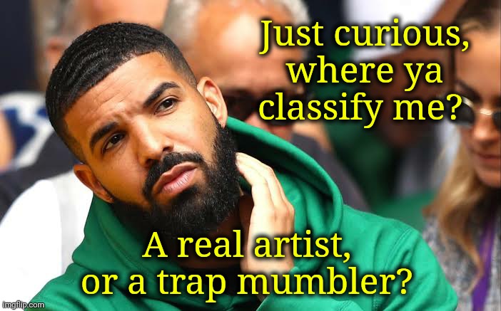 Drake seems okay | Just curious, where ya classify me? A real artist, or a trap mumbler? | image tagged in drake seems okay | made w/ Imgflip meme maker