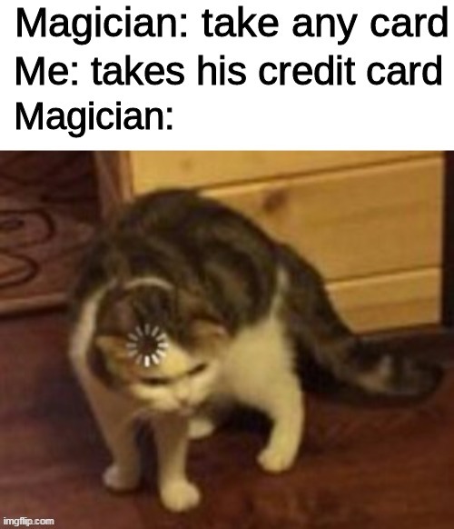 Magicians be like: | image tagged in confused cat,magic,meme | made w/ Imgflip meme maker