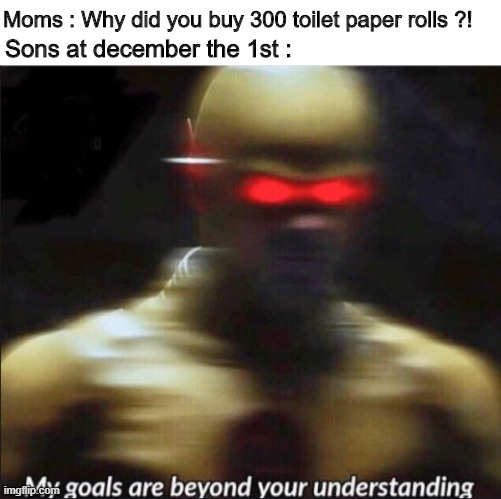 And this is how I support all the guys in NNN ! | Moms : Why did you buy 300 toilet paper rolls ?! Sons at december the 1st : | image tagged in my goals are beyond your understanding,memes,no nut november,support,toilet paper | made w/ Imgflip meme maker