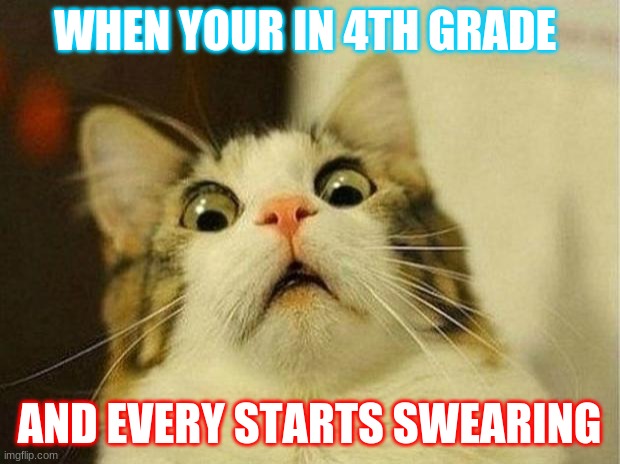 its true | WHEN YOUR IN 4TH GRADE; AND EVERY STARTS SWEARING | image tagged in memes,scared cat | made w/ Imgflip meme maker