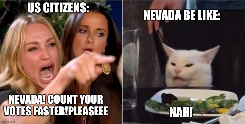 NEVADA BE LIKE:; US CITIZENS:; NEVADA! COUNT YOUR VOTES FASTER!PLEASEEE; NAH! | image tagged in election 2020 | made w/ Imgflip meme maker