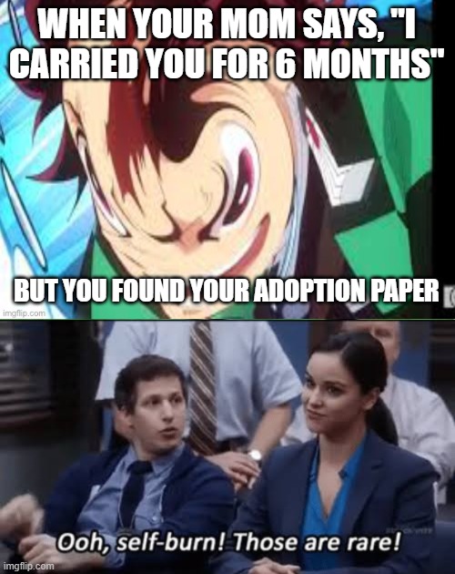 WHEN YOUR MOM SAYS, "I CARRIED YOU FOR 6 MONTHS" BUT YOU FOUND YOUR ADOPTION PAPER | image tagged in ooh self-burn those are rare | made w/ Imgflip meme maker