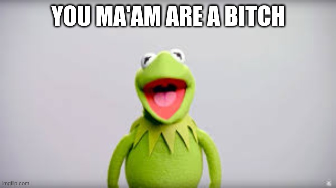 YOU MA'AM ARE A BITCH | image tagged in funny memes | made w/ Imgflip meme maker