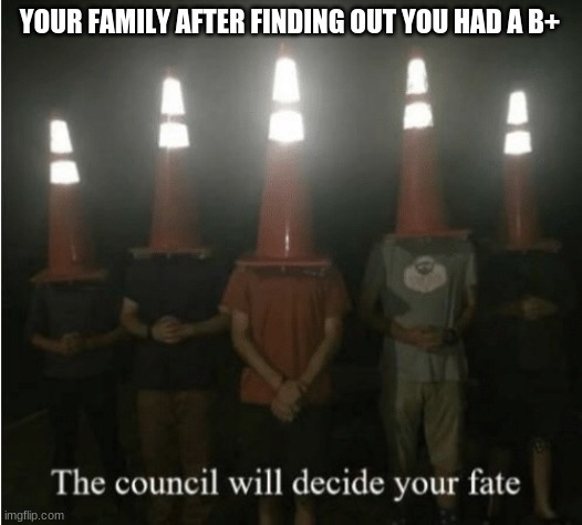 The council will decide your fate | YOUR FAMILY AFTER FINDING OUT YOU HAD A B+ | image tagged in the council will decide your fate | made w/ Imgflip meme maker