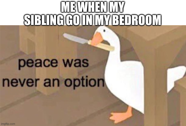 Untitled Goose Peace Was Never an Option | ME WHEN MY SIBLING GO IN MY BEDROOM | image tagged in untitled goose peace was never an option | made w/ Imgflip meme maker