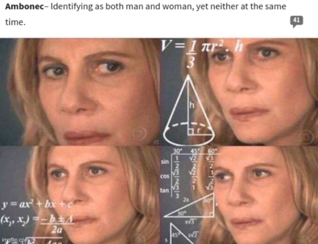 The Hell? | image tagged in math lady/confused lady,gender identity,gender confusion,gay,lgbtq | made w/ Imgflip meme maker