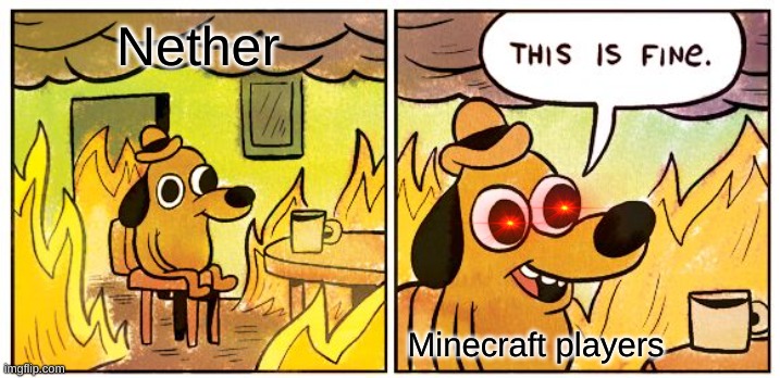 This Is Fine Meme | Nether; Minecraft players | image tagged in memes,this is fine | made w/ Imgflip meme maker