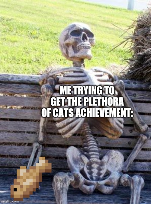 I've been playing too much Minecraft | ME TRYING TO GET THE PLETHORA OF CATS ACHIEVEMENT: | image tagged in memes,waiting skeleton,minecraft,gifs,demotivationals,oh wow are you actually reading these tags | made w/ Imgflip meme maker