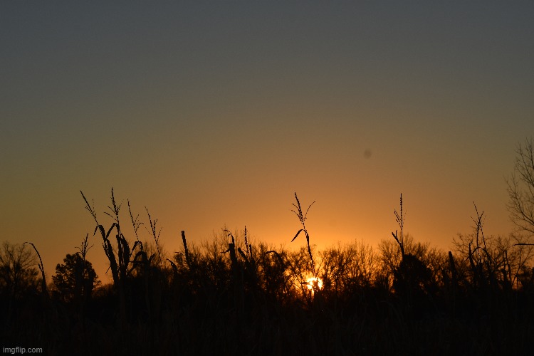 good morning! | made w/ Imgflip meme maker