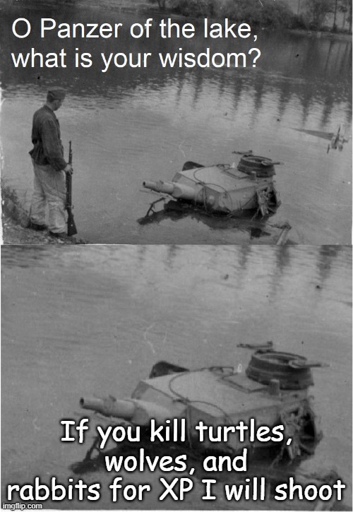 Panzer of the Lake Wisdom | If you kill turtles, wolves, and rabbits for XP I will shoot | image tagged in panzer of the lake wisdom | made w/ Imgflip meme maker
