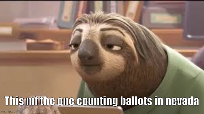 flash the sloth | This mf the one counting ballots in nevada | image tagged in flash the sloth | made w/ Imgflip meme maker