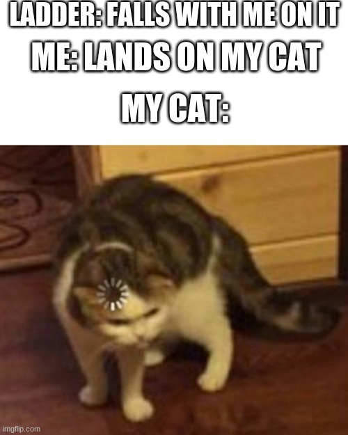 Loading cat | LADDER: FALLS WITH ME ON IT; ME: LANDS ON MY CAT; MY CAT: | image tagged in loading cat | made w/ Imgflip meme maker