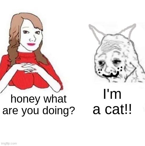 Yes Honey | I'm a cat!! honey what are you doing? | image tagged in yes honey | made w/ Imgflip meme maker