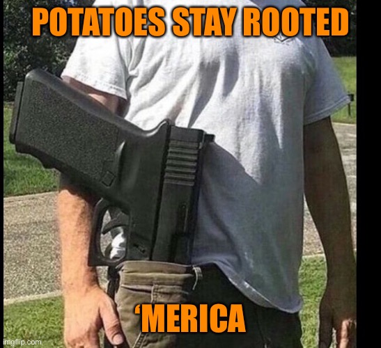 Got my gun | POTATOES STAY ROOTED ‘MERICA | image tagged in got my gun | made w/ Imgflip meme maker