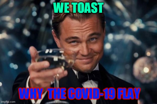Leonardo Dicaprio Cheers | WE TOAST; WHY  THE COVID-19 FLAY | image tagged in memes,leonardo dicaprio cheers | made w/ Imgflip meme maker