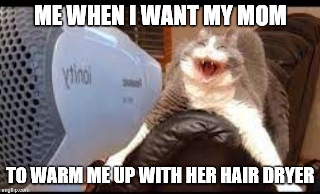 boredom | ME WHEN I WANT MY MOM; TO WARM ME UP WITH HER HAIR DRYER | image tagged in boredom | made w/ Imgflip meme maker