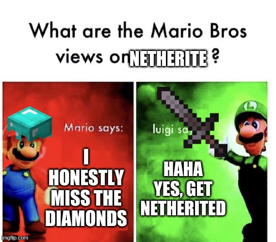 don't you love grammer? | NETHERITE; I HONESTLY MISS THE DIAMONDS; HAHA YES, GET NETHERITED | image tagged in mario bros views | made w/ Imgflip meme maker