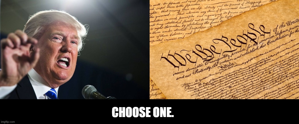 Choose wisely, conservatives. | CHOOSE ONE. | image tagged in donald trump,us constitution | made w/ Imgflip meme maker