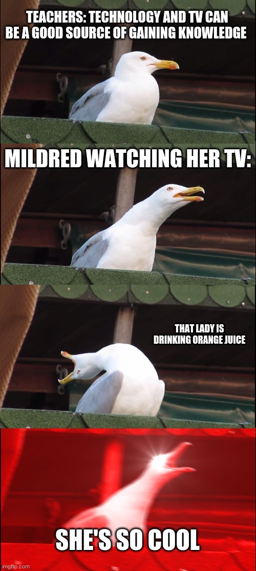 Farenheight 451 | TEACHERS: TECHNOLOGY AND TV CAN BE A GOOD SOURCE OF GAINING KNOWLEDGE; MILDRED WATCHING HER TV:; THAT LADY IS DRINKING ORANGE JUICE; SHE'S SO COOL | image tagged in memes,inhaling seagull | made w/ Imgflip meme maker