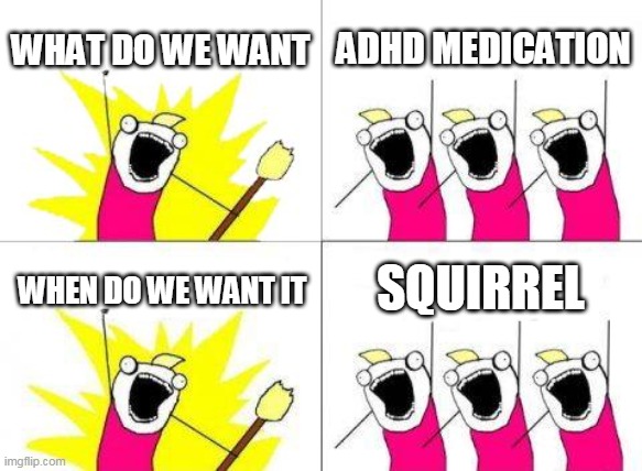 ADHD distractions | WHAT DO WE WANT; ADHD MEDICATION; SQUIRREL; WHEN DO WE WANT IT | image tagged in memes,what do we want | made w/ Imgflip meme maker