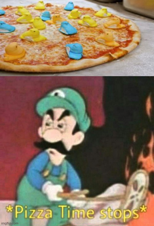 Odd Pizza | image tagged in pizza time stops,luigi,pizza,pizza time | made w/ Imgflip meme maker