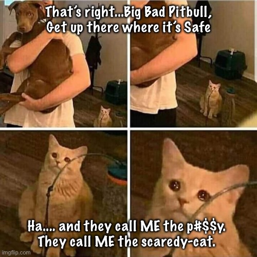 Sad Cat Holding Dog | That’s right...Big Bad Pitbull,
Get up there where it’s Safe; Ha.... and they call ME the p#$$y. 
 They call ME the scaredy-cat. | image tagged in sad cat holding dog | made w/ Imgflip meme maker