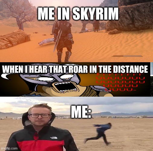 ME IN SKYRIM; WHEN I HEAR THAT ROAR IN THE DISTANCE; ME: | image tagged in skyrim,too funny,video games | made w/ Imgflip meme maker