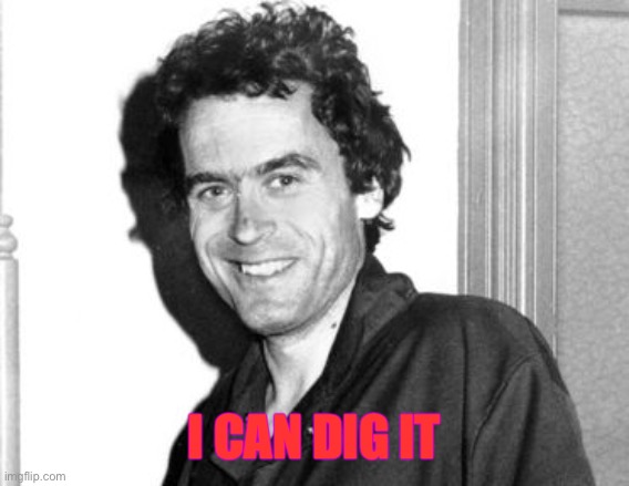 Ted Bundy | I CAN DIG IT | image tagged in ted bundy | made w/ Imgflip meme maker