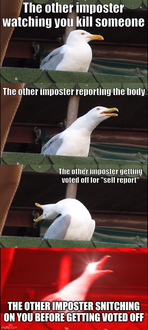 Being Imposter sucks | The other imposter watching you kill someone; The other imposter reporting the body; The other imposter getting voted off for "self report"; THE OTHER IMPOSTER SNITCHING ON YOU BEFORE GETTING VOTED OFF | image tagged in memes,inhaling seagull,among us,self report | made w/ Imgflip meme maker