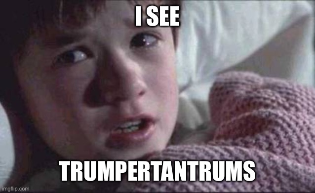 Trump | I SEE; TRUMPERTANTRUMS | image tagged in memes,i see dead people | made w/ Imgflip meme maker