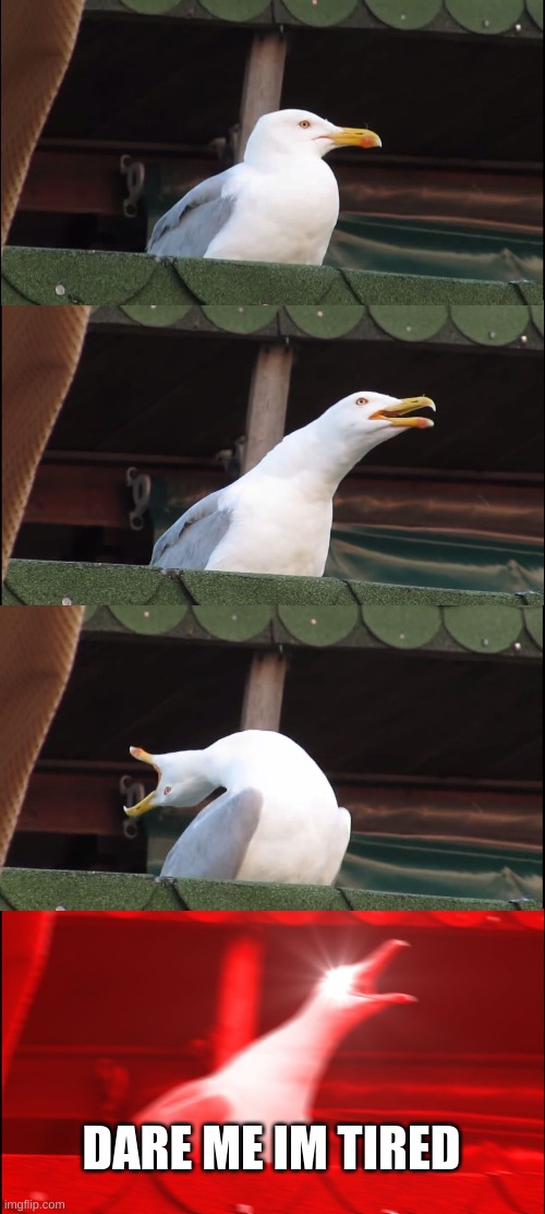 Inhaling Seagull | DARE ME IM TIRED | image tagged in memes,inhaling seagull | made w/ Imgflip meme maker