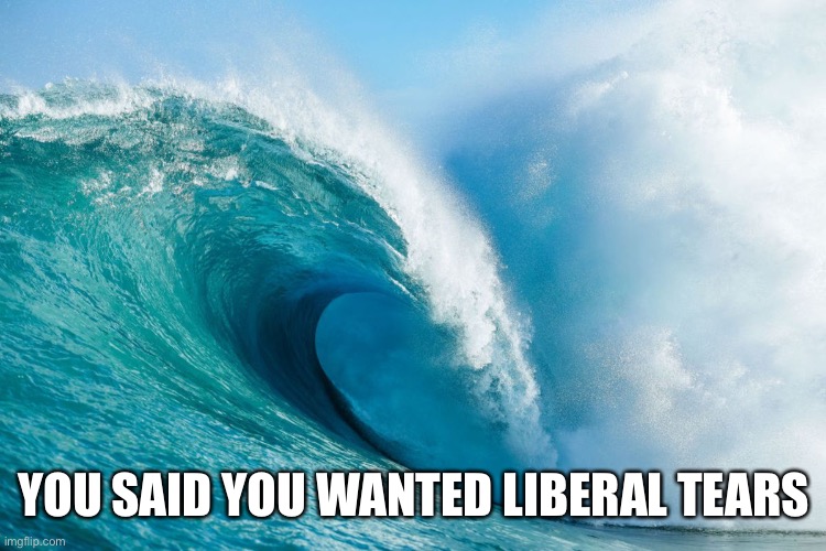 Liberal Tears | YOU SAID YOU WANTED LIBERAL TEARS | image tagged in liberal tears | made w/ Imgflip meme maker