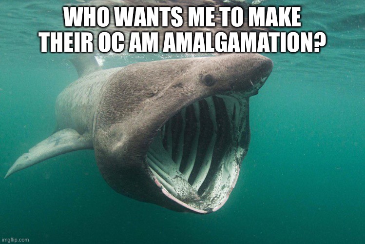Bruh | WHO WANTS ME TO MAKE THEIR OC AM AMALGAMATION? | made w/ Imgflip meme maker
