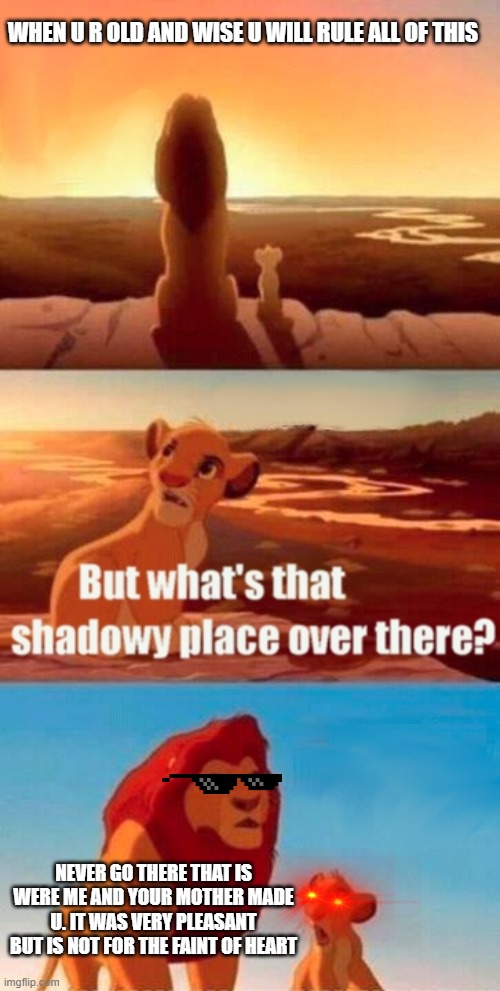 the dark place | WHEN U R OLD AND WISE U WILL RULE ALL OF THIS; NEVER GO THERE THAT IS WERE ME AND YOUR MOTHER MADE U. IT WAS VERY PLEASANT BUT IS NOT FOR THE FAINT OF HEART | image tagged in memes,simba shadowy place | made w/ Imgflip meme maker
