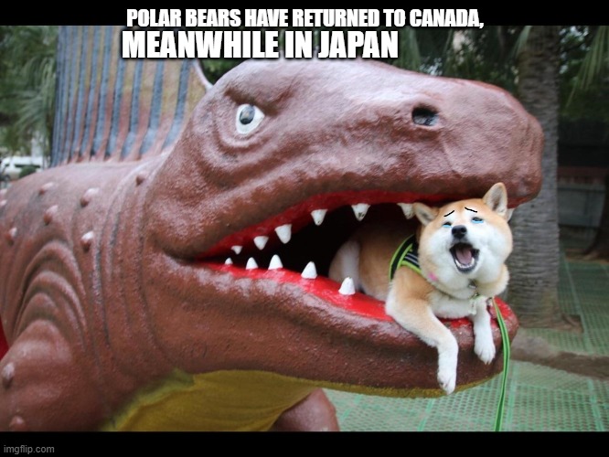 Meanwhile | POLAR BEARS HAVE RETURNED TO CANADA, MEANWHILE IN JAPAN | image tagged in meanwhile in japan | made w/ Imgflip meme maker