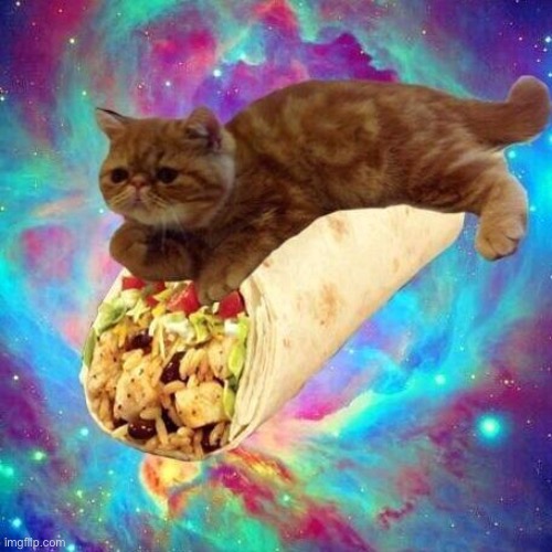 Flying Panini Monster | image tagged in flying panini monster | made w/ Imgflip meme maker