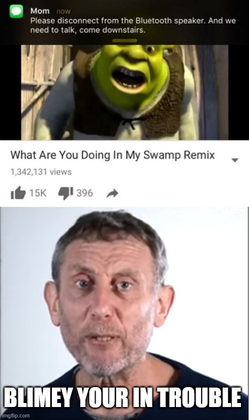 BLIMEY YOUR IN TROUBLE | image tagged in micheal rosen,shrek,swamp | made w/ Imgflip meme maker