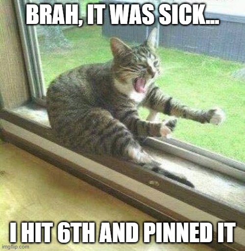 motorcycle cat | BRAH, IT WAS SICK... I HIT 6TH AND PINNED IT | image tagged in motorcycle cat | made w/ Imgflip meme maker