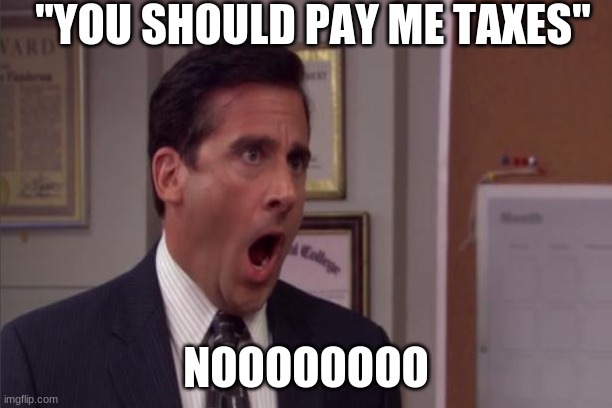 ''YOU SHOULD PAY ME TAXES''; NOOOOOOOO | image tagged in taxes | made w/ Imgflip meme maker