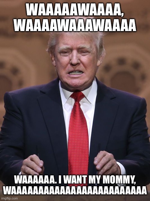 Donald Trump Imgflip