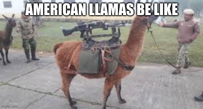 da llama | AMERICAN LLAMAS BE LIKE | image tagged in da llama | made w/ Imgflip meme maker