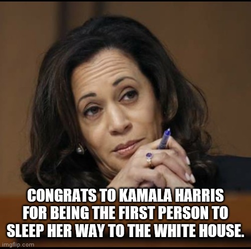 Kamala | CONGRATS TO KAMALA HARRIS FOR BEING THE FIRST PERSON TO SLEEP HER WAY TO THE WHITE HOUSE. | image tagged in kamala harris,election 2020,shame election,voter fraud | made w/ Imgflip meme maker